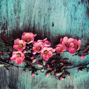 Meet your Posher, Krystal